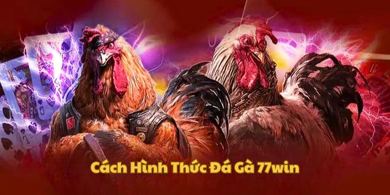 hinh-thuc-choi-ke-tai-nha-cai-77win