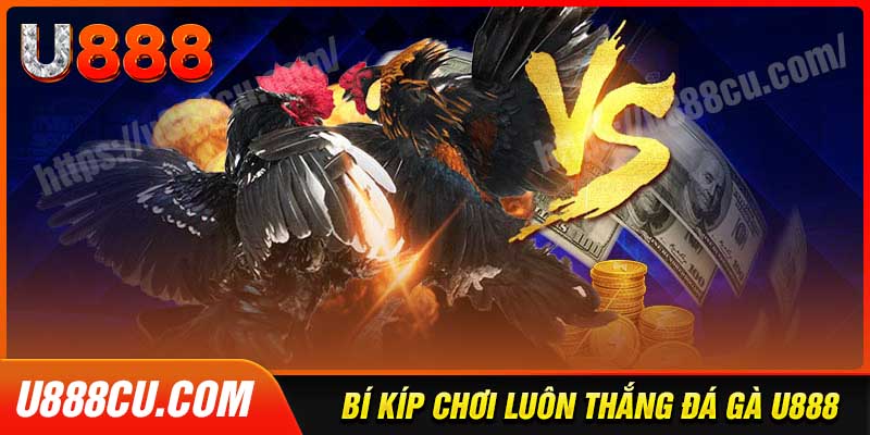 bi-kip-choi-da-ga-u888-hieu-qua-de-thang-lon