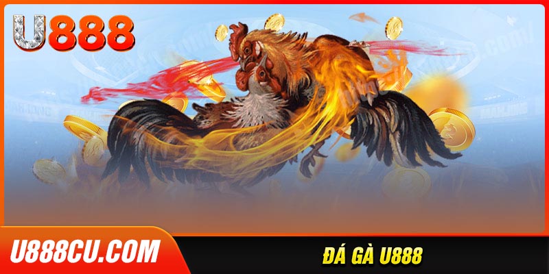 da-ga-u888-tuong-ga-chuan-hd-chat-luong-cao
