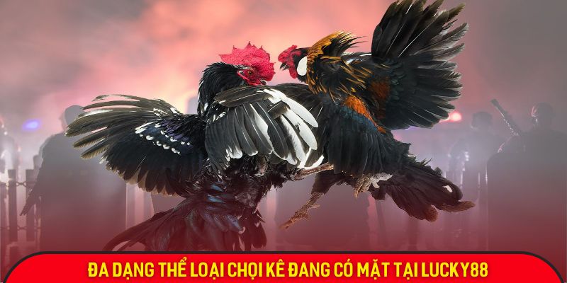 da-ga-lucky88-da-dang