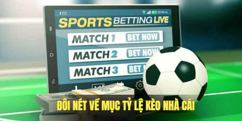 ty-le-keo-bong-da-tim-hieu