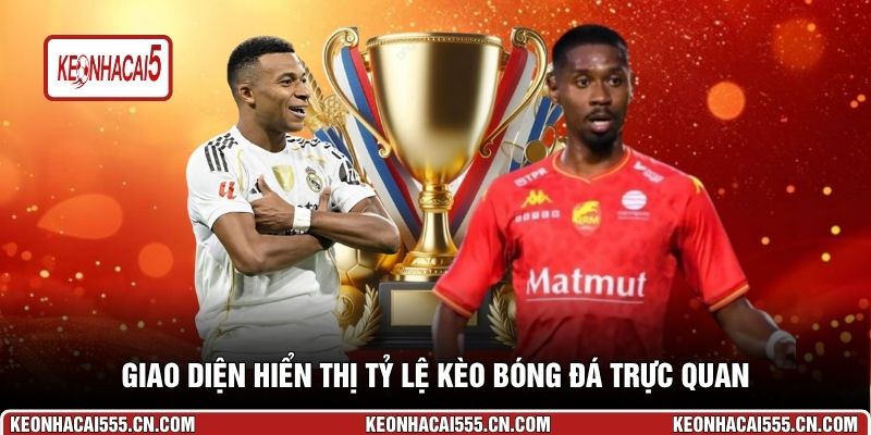 Giao diện hiển thị tỷ lệ kèo bóng đá trực quan