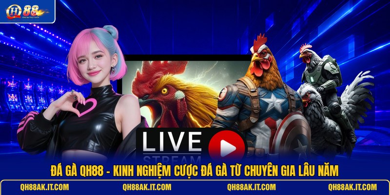 da-ga-qh88-kinh-nghiem-cuoc-da-ga-tu-chuyen-gia-lau-nam